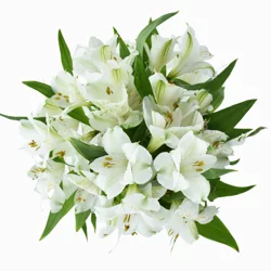 Bouque Consumer Bunch Alstroemeria