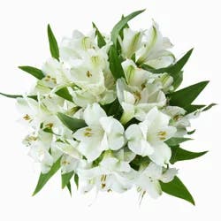 Bouque Consumer Bunch Alstroemeria