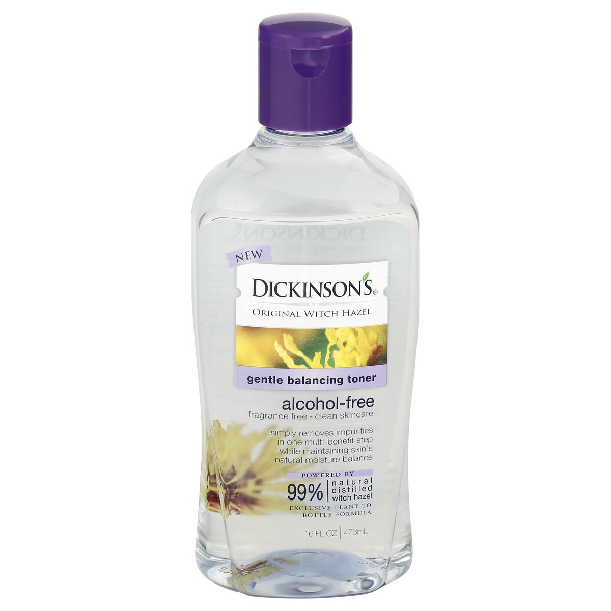 slide 1 of 1, Dickinson's Original Witch Hazel Alcohol Free Gentle Balancing Toner, 16 oz