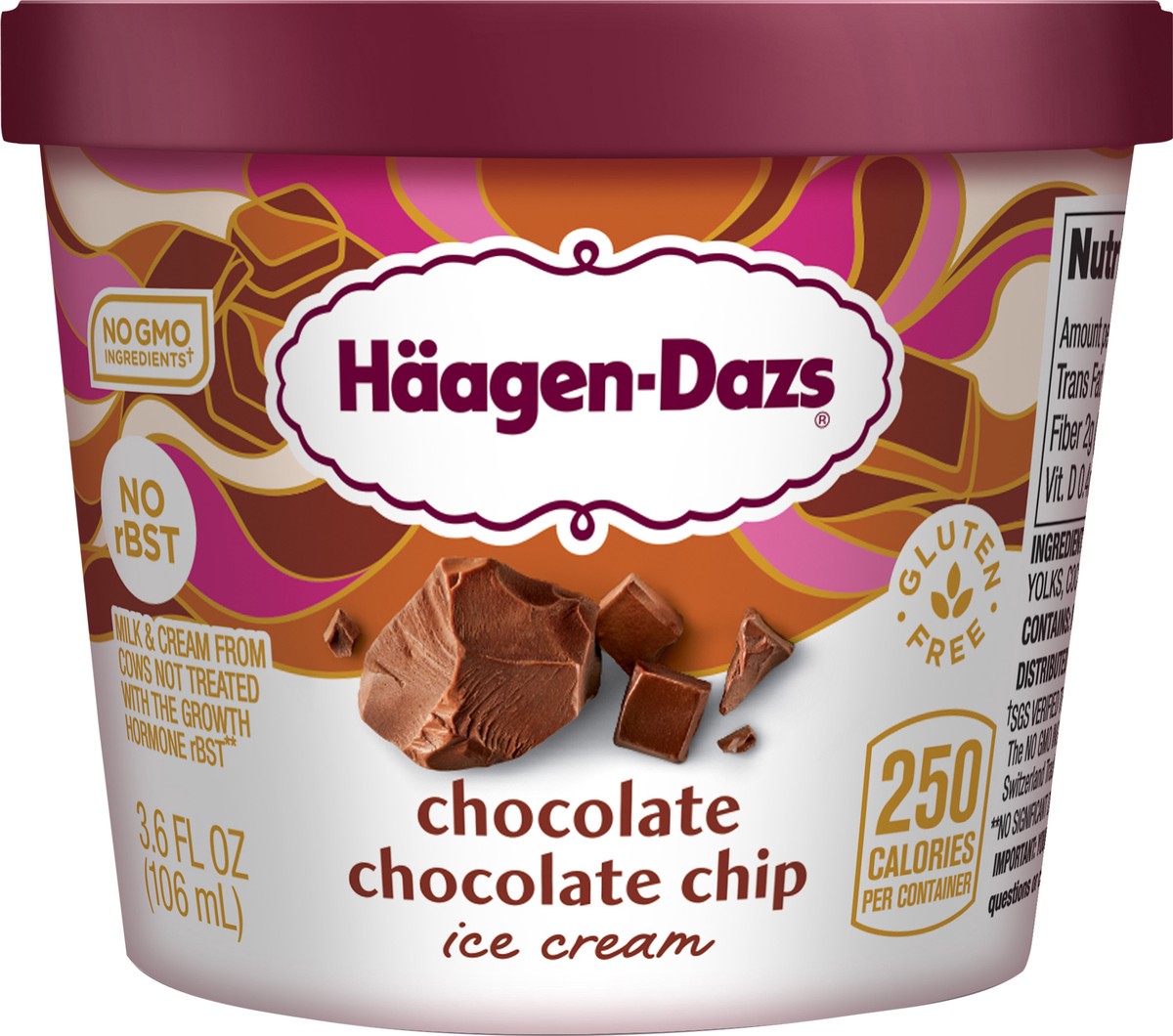slide 6 of 7, HAAGEN-DAZS Chocolate Chocolate Chip Ice Cream – Rich and Creamy, Decadent Frozen Dessert Made with the Best, Natural Ingredients, 3.6 oz., 3.6 fl oz