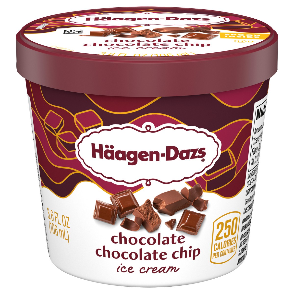 slide 1 of 7, Häagen-Dazs Chocolate Chocolate Chip Ice Cream, 3.6 fl oz