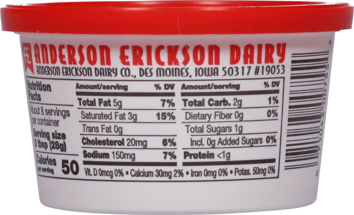 slide 5 of 9, Anderson Erickson Dairy AE Dairy Mexican Style Sour Cream Dip, 8 oz