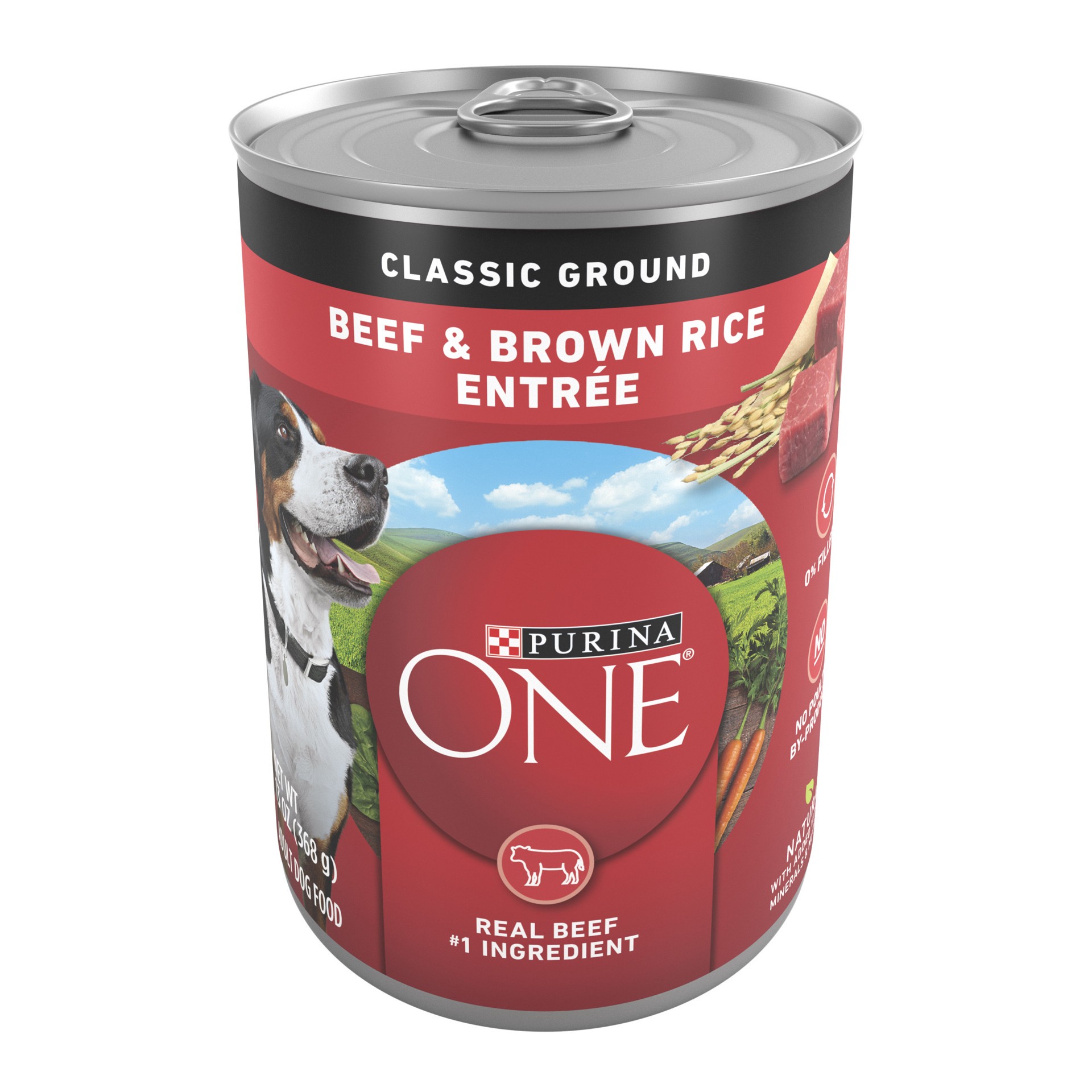 slide 1 of 7, ONE Purina ONE Classic Ground Beef and Brown Rice Entree Adult Wet Dog Food, 13 oz