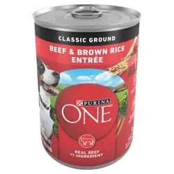 Purina ONE SmartBlend Classic Ground Wet Dog Food Beef & Brown Rice Entrée - 13oz
