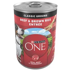 Purina ONE Classic Ground Beef and Brown Rice Entree Adult Wet Dog Food