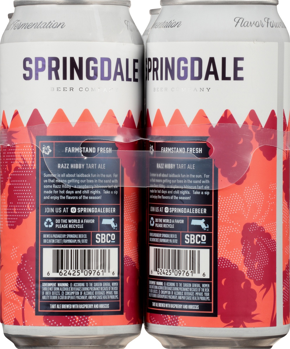 slide 8 of 8, Springdale Brewing Lavenade Tart Ale Single, 16 fl oz