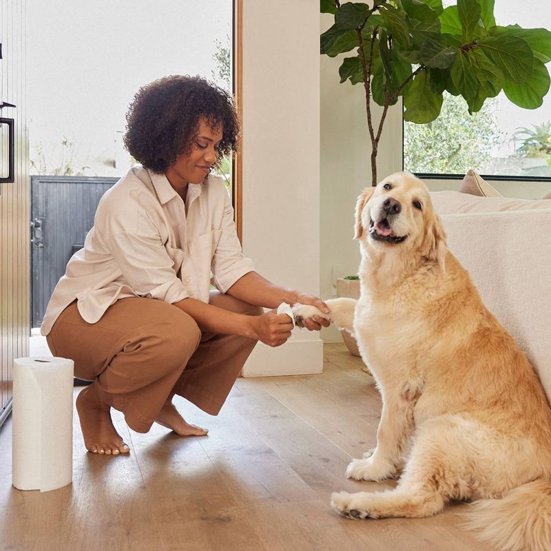 slide 6 of 7, Reel Paper Bamboo Paper Towels - 6pk, 6 ct