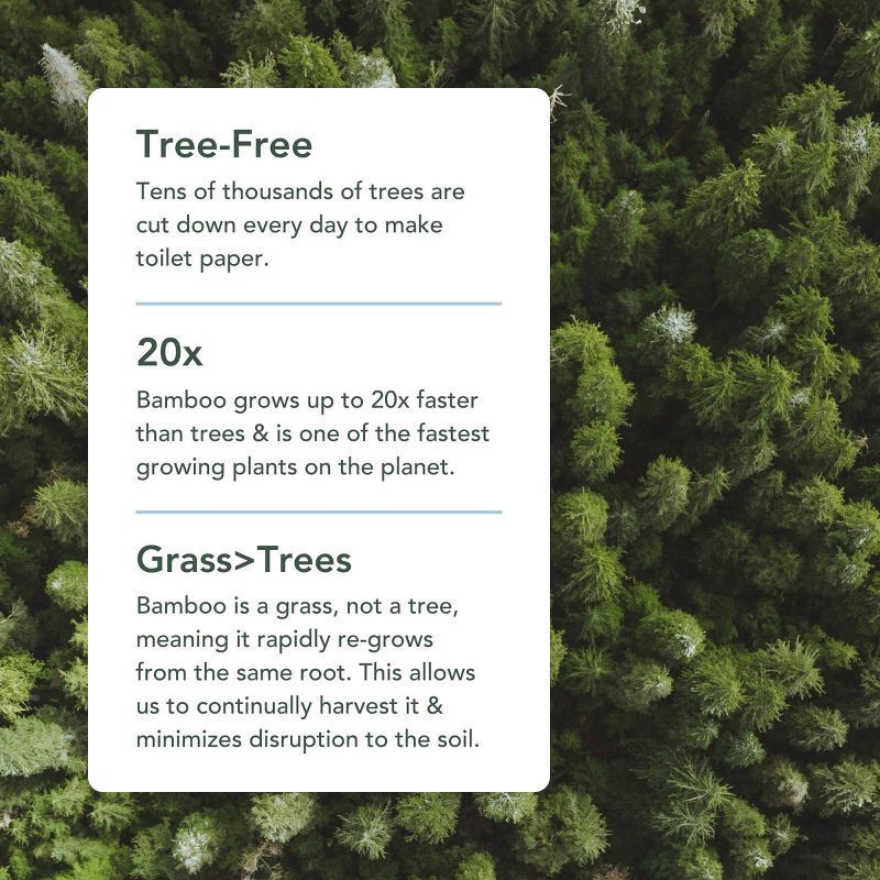 slide 5 of 7, Reel Paper Bamboo Paper Towels - 6pk, 6 ct