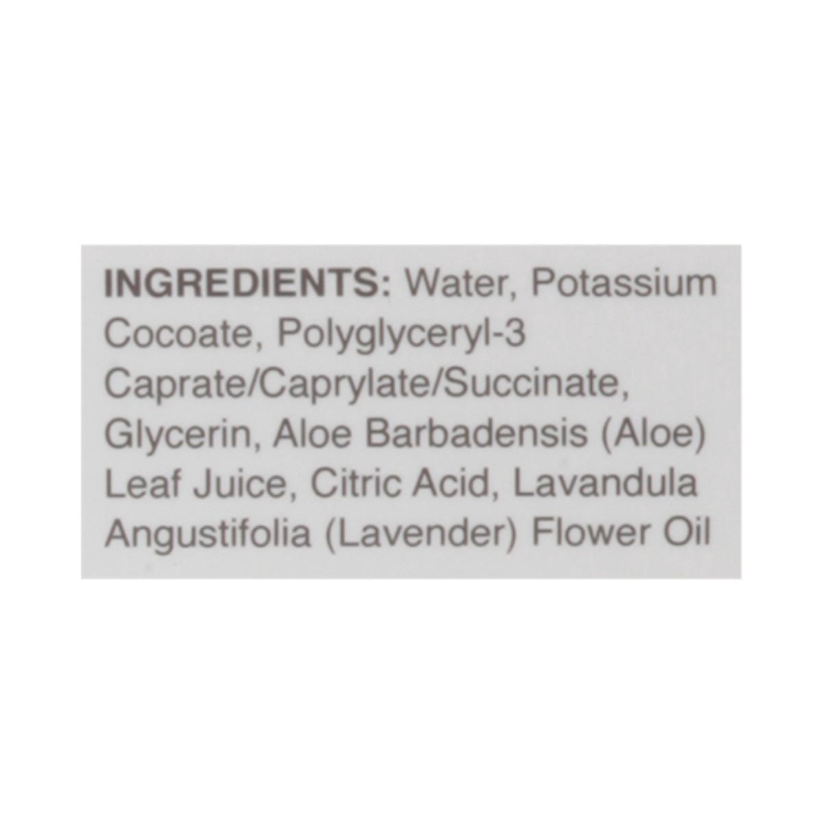 slide 3 of 11, Whitehall Grey Pure Castile Lavender Liquid Soap 32 fl oz, 32 oz
