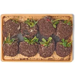 H-E-B Bakery Gourmet Chocolate-Dipped Strawberries - Cookies & Cream