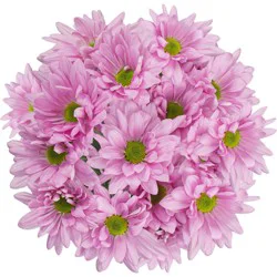 BLOOMS by H-E-B 4 Stem Assorted Poms