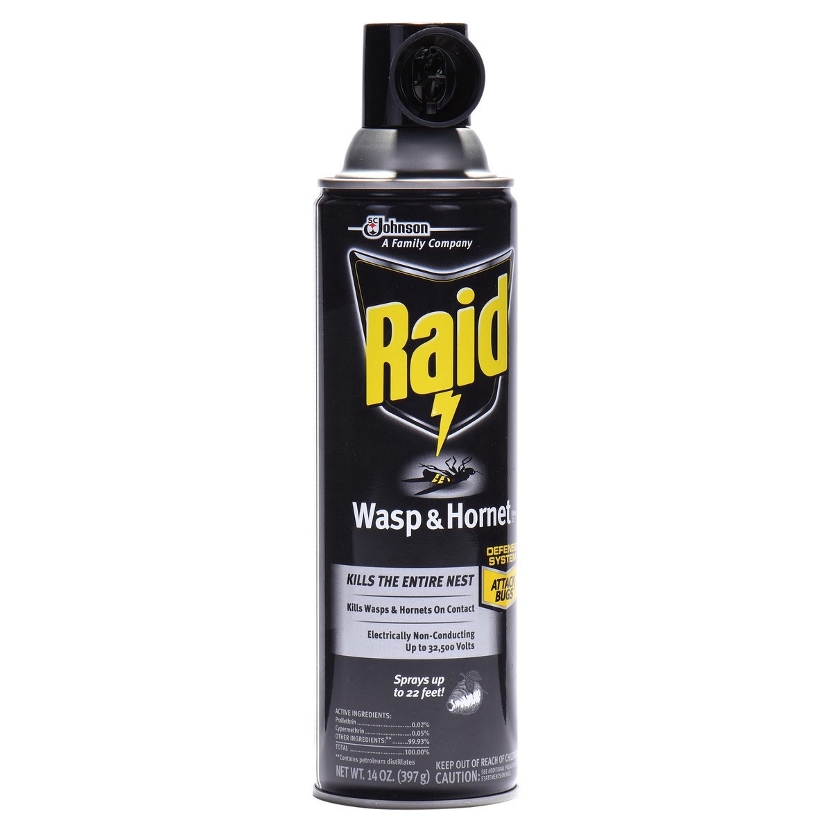 slide 5 of 5, Raid Wasp & Hornet Killer Bug Spray, 14oz, 1 Count, 2 ct; 14 oz