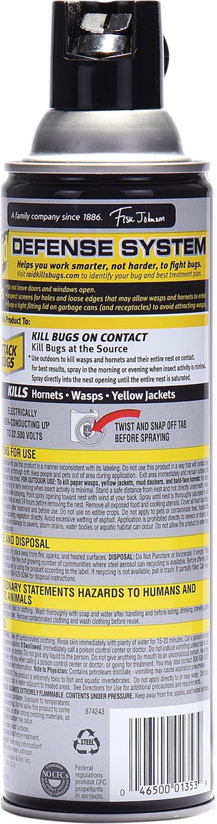 slide 4 of 5, Raid Wasp & Hornet Killer Bug Spray, 14oz, 1 Count, 2 ct; 14 oz