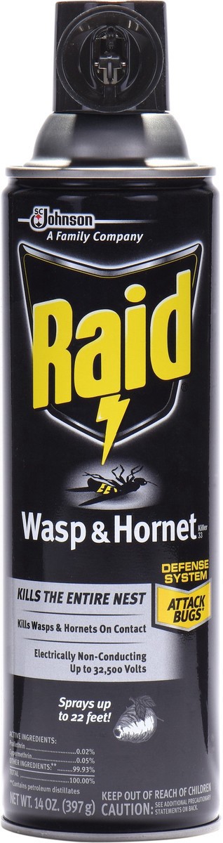 slide 2 of 5, Raid Wasp & Hornet Killer Bug Spray, 14oz, 1 Count, 2 ct; 14 oz