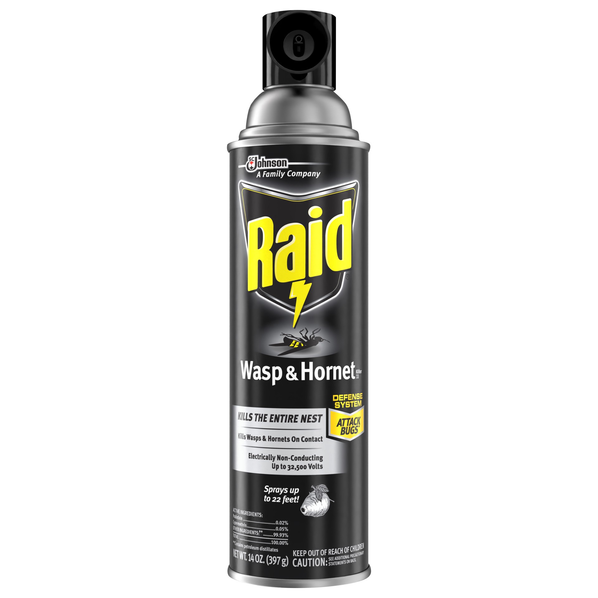 slide 1 of 5, Raid Wasp & Hornet Killer Bug Spray, 14oz, 1 Count, 2 ct; 14 oz