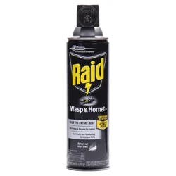 Raid Wasp & Hornet Insect Killer 33, Insect Spray for Stinging Bugs & Their Nests, 14 oz