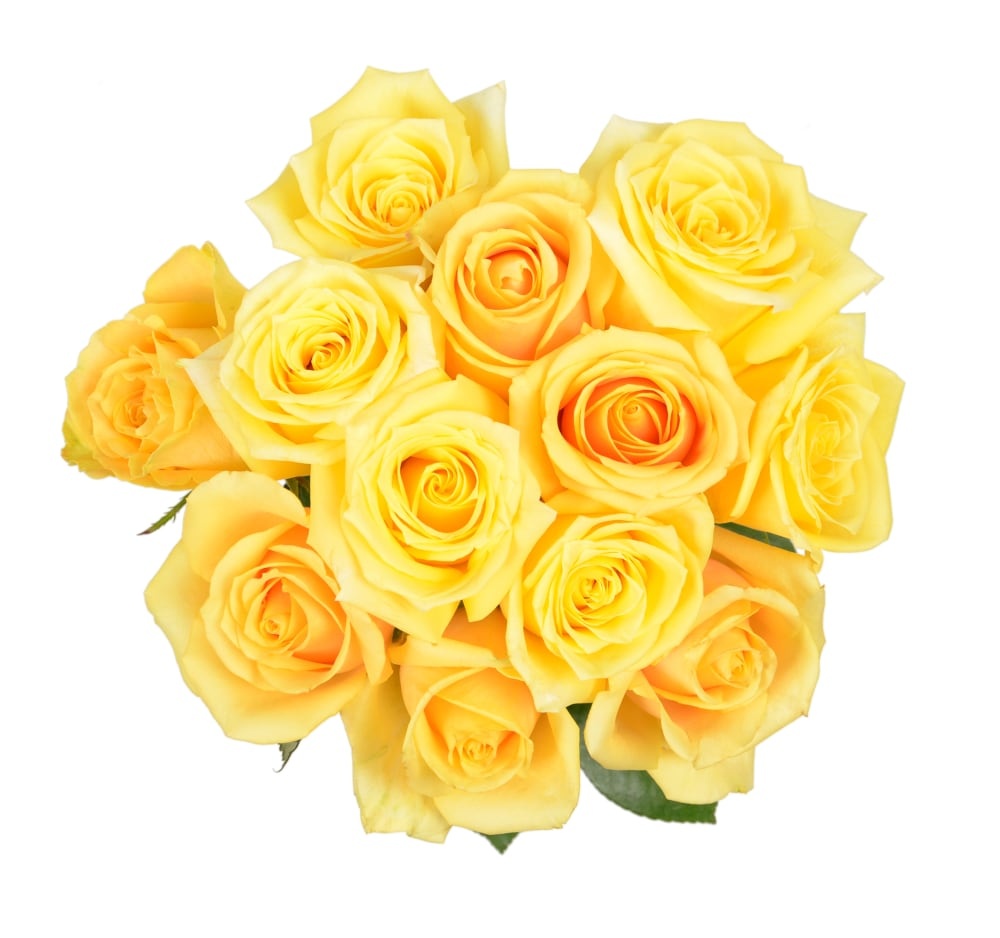 slide 1 of 1, BLOOM HAUS Yellow Roses, 12 ct
