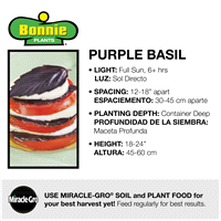 slide 7 of 9, Bonnie Plants  Basil Purple, 19.3 oz