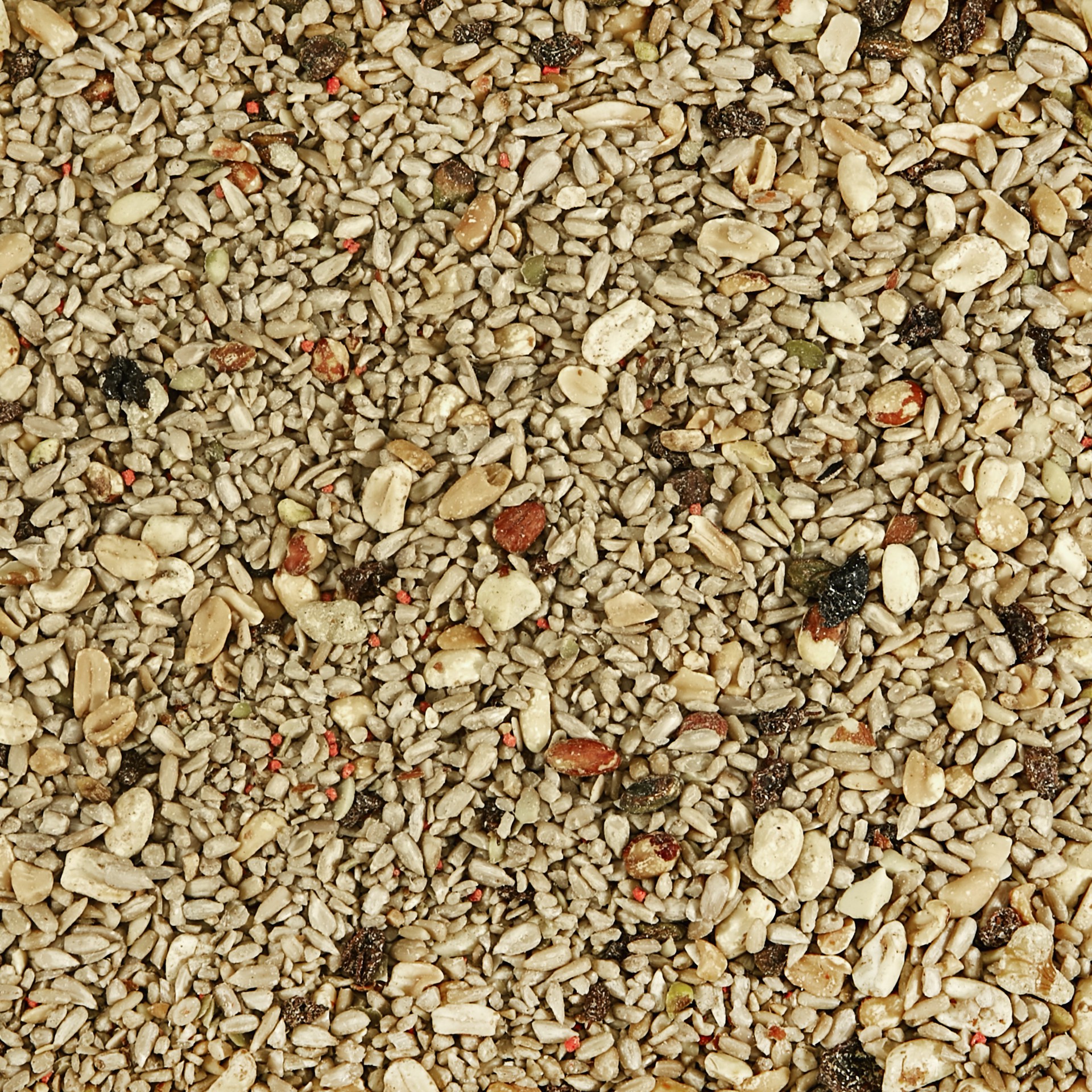 slide 5 of 6, Pennington Seed Wild Bird Food - 5 lb, 1 ct