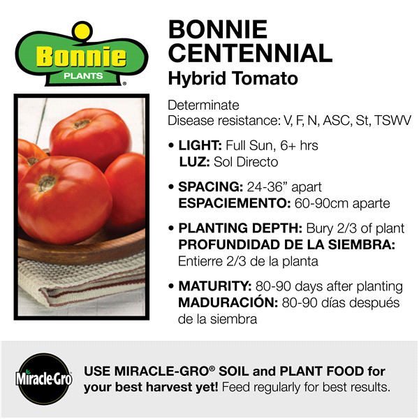 slide 8 of 9, Bonnie Plants  Tomato Centennial, 19.3 oz