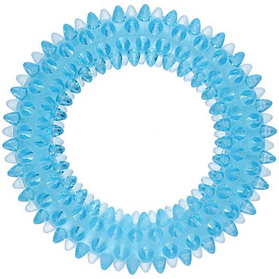 slide 1 of 1, Woof and Whiskers Ring Spike Mint Flavored 3.5 in Dog Toy, 1 ct