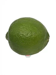 Main Plu Scale Lime
