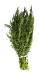 Meyer Farms Dill Organic -.