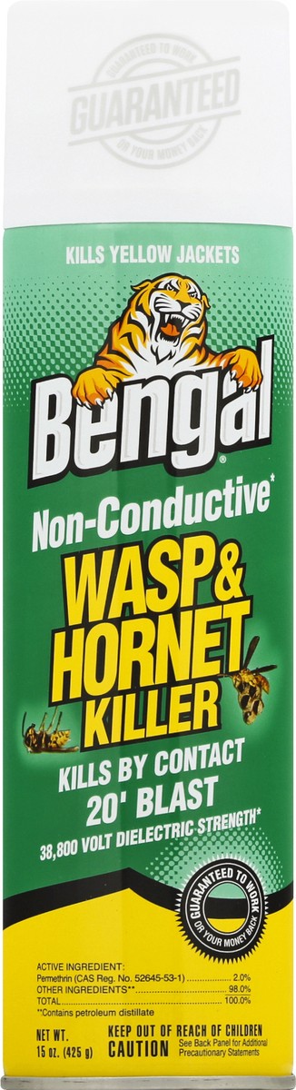 slide 1 of 9, Bengal Wasp And Hornet Killer, 15 oz