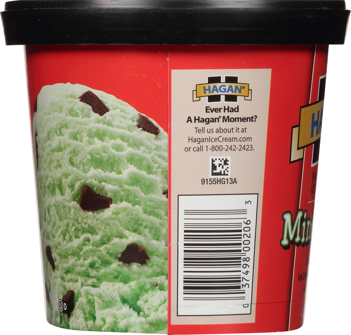 slide 2 of 10, Hagan Mint Chip Premium Ice Cream 1.5 qt. Tub, 1.42 liter