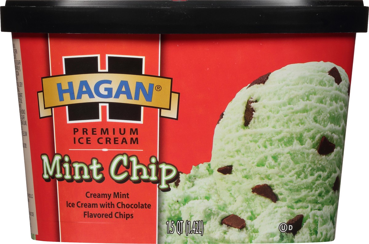 slide 3 of 10, Hagan Mint Chip Premium Ice Cream 1.5 qt. Tub, 1.42 liter