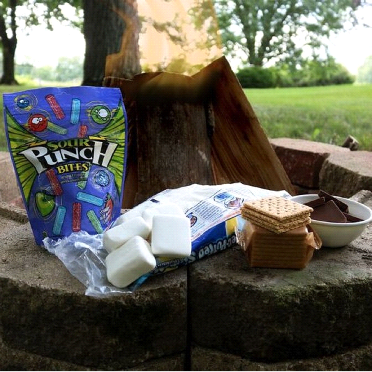 slide 23 of 64, Sour Punch Bites Assorted Flavors Candy 9 oz, 9 oz