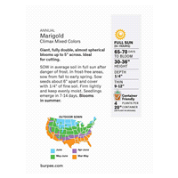 slide 2 of 5, Burpee Marigold Climax Hybrid Mix Seeds, 1 ct