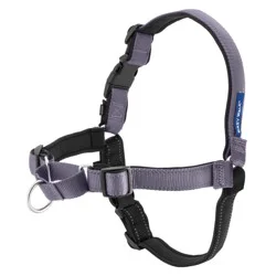 PetSafe Deluxe Easy Walk Harness - Steel