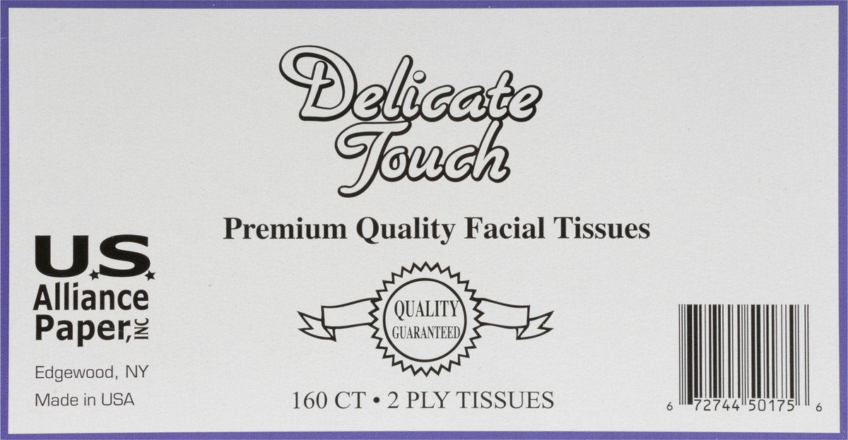 slide 13 of 14, Delicate Touch 2 Ply White Unscented Facial Tissue 160 ea, 160 ct