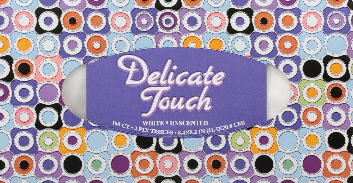 slide 10 of 14, Delicate Touch 2 Ply White Unscented Facial Tissue 160 ea, 160 ct