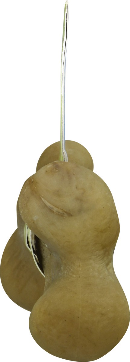 slide 8 of 8, Pet Qwerks Barkbone Dinosaur Bone Xxl, 1 ct