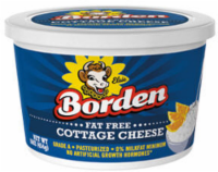 slide 1 of 1, Borden Fat Free Cottage Cheese, 16 oz