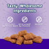 slide 5 of 16, Blue Buffalo Bursts Crunchy Cat Treats, Chicken Liver and Beef 12-oz Tub, 12 oz