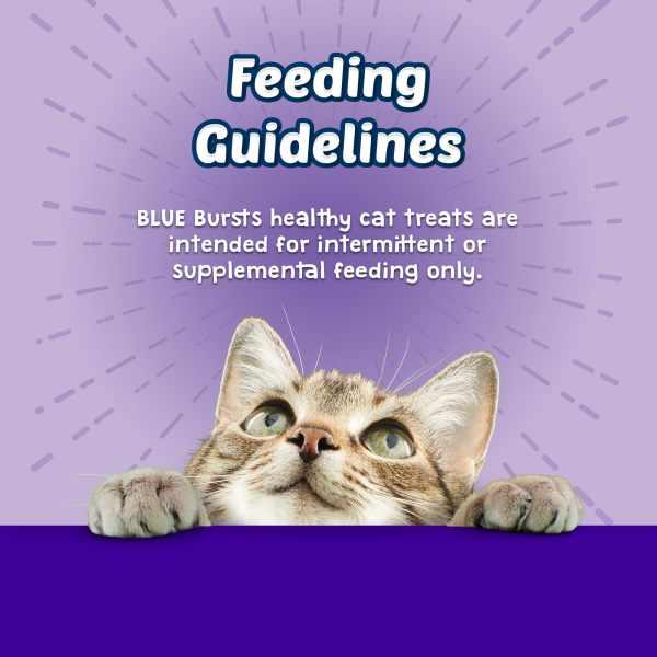 slide 4 of 16, Blue Buffalo Bursts Crunchy Cat Treats, Chicken Liver and Beef 12-oz Tub, 12 oz