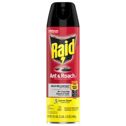 Raid Ant and Roach Killer Aerosol Insecticide - Lemon Scent, 17.5oz