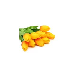 Rainbow Tulips - 10 Stems