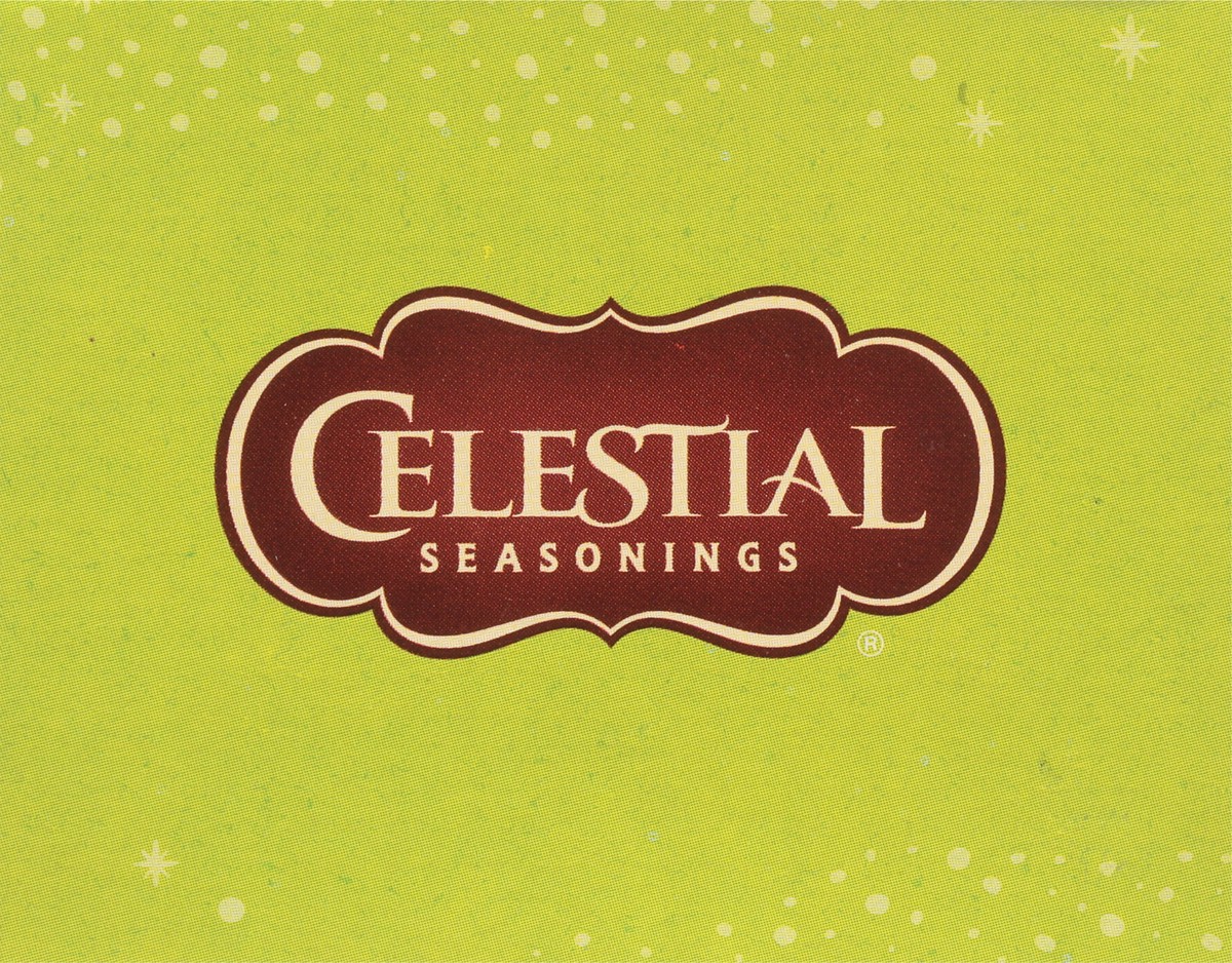 slide 6 of 8, Celestial Seasonings Authentic Green Tea 20 Tea Bags, 20 ct