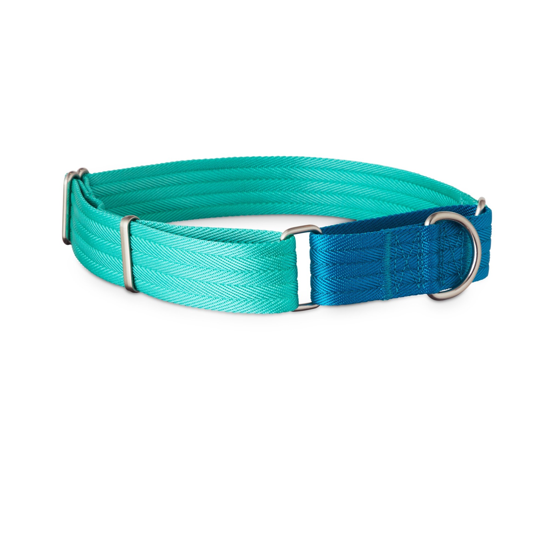 slide 1 of 1, Good2Go Teal and Blue Two Tone Martingale Dog Collar, LG