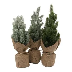 14 in Pine Tree w/Burlap Base
