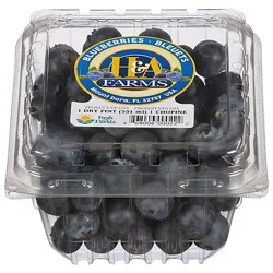 Blueberries