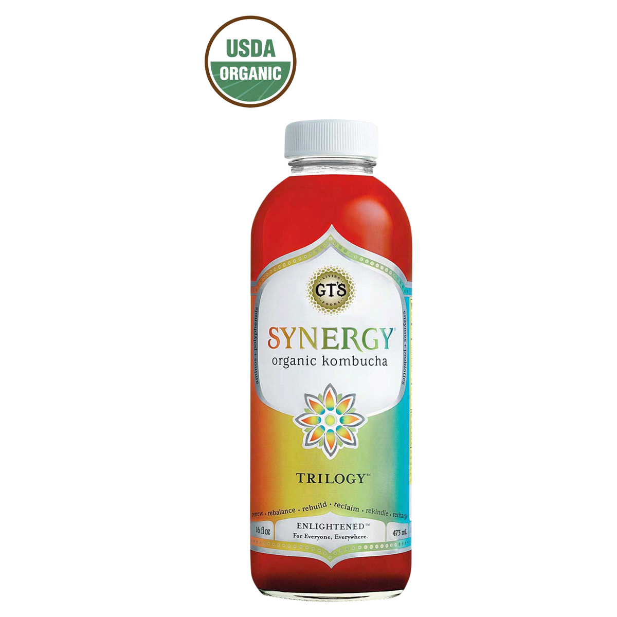 slide 1 of 10, GT's Synergy Trilogy Organic Raw Kombucha, 16 fl oz