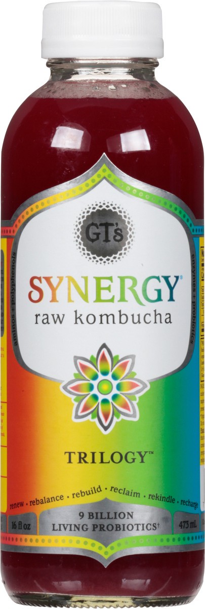 slide 5 of 9, GT's Synergy® organic kombucha, Trilogy™, 16 fl oz