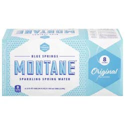 Blue Spring Montane Original Sparkling Spring Water - 8 ct