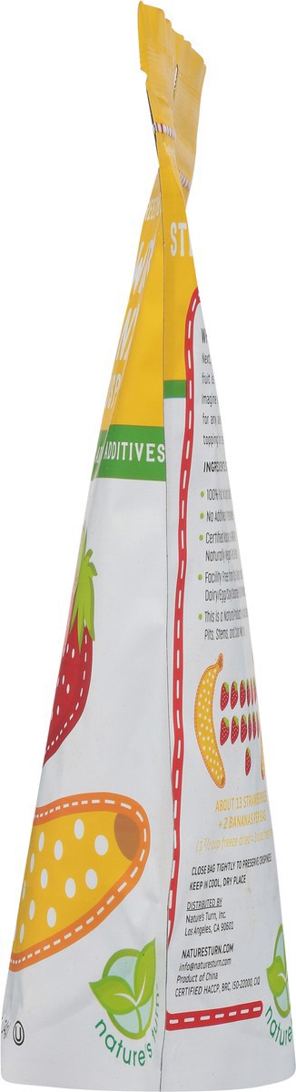 slide 6 of 13, Nature's Turn Freeze-Dried Strawberry & Banana Crisps 1.2 oz, 1.2 oz