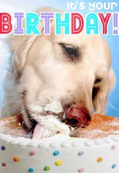 Hallmark Birthday Card (Dog Eating Birthday Cake)